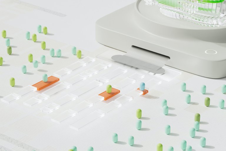 Reduciendo la huella digital: Principios esenciales de Green UX 