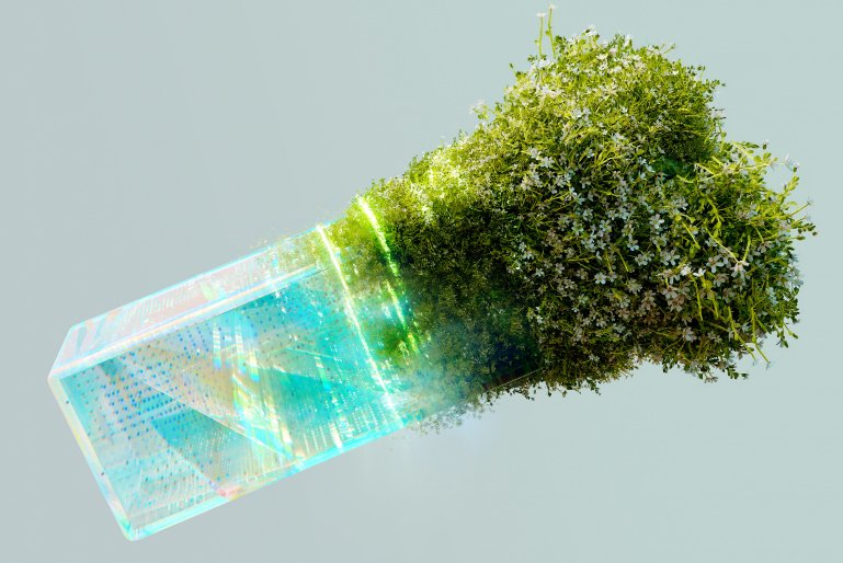 Reduciendo la huella digital: Principios esenciales de Green UX 