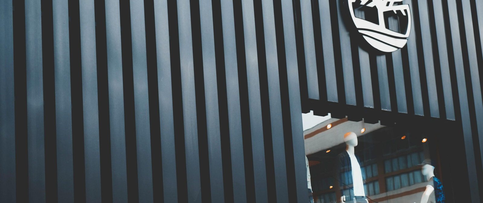 Experiencia del usuario 